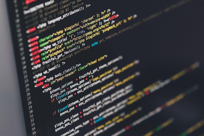 Web Developer